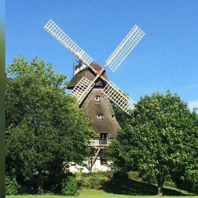 Fewo An Der Muehle Hasselberg  Bagian luar foto